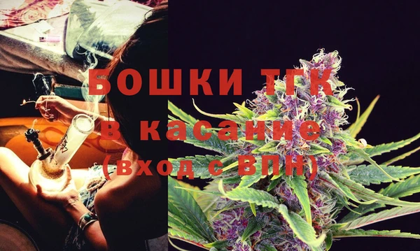 PSILOCYBIN Алзамай
