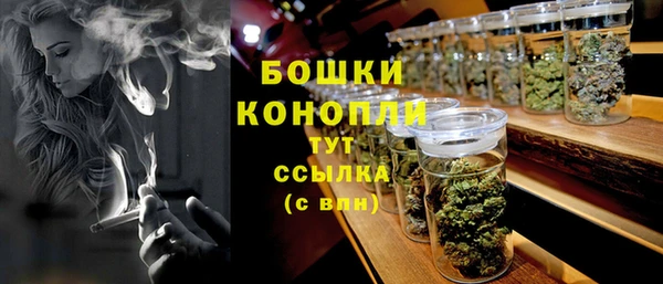 PSILOCYBIN Алзамай