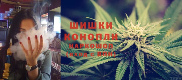 PSILOCYBIN Алзамай