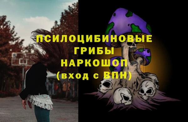 PSILOCYBIN Алзамай