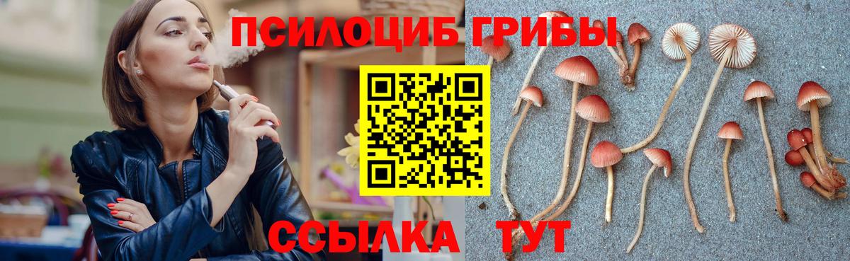 Псилоцибиновые грибы мухоморы  Вход с VPN  Нижний Тагил 